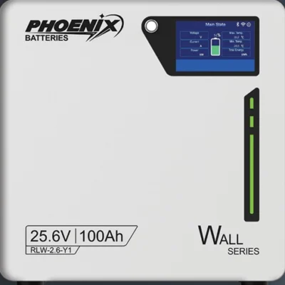 Phoenix 25.6 V 100 Ah Lithium Battery (IP40)