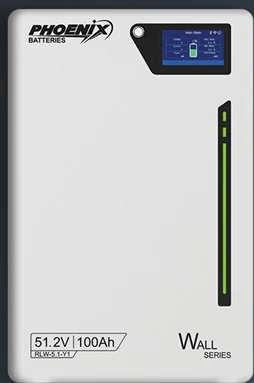 Phoenix 51.2 V 100 Ah Lithium Battery (IP40)